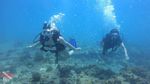 Oahu scuba 10