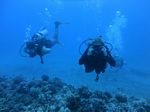 Hawaii Scuba divng 10