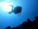 Hawaii Scuba divng 14