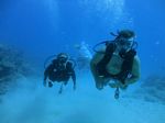 Hawaii Scuba divng 18