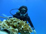 Hawaii Scuba divng 19