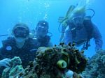 Hawaii Scuba divng 01