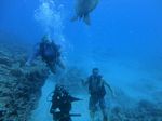 Hawaii Scuba divng 20