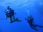 Hawaii Scuba divng 22