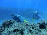 Hawaii Scuba divng 32