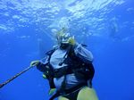 Hawaii Scuba divng 33