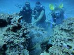 Hawaii Scuba divng 34