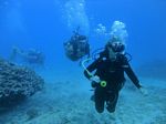 Hawaii Scuba divng 36