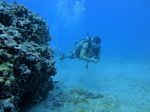 Hawaii Scuba divng 38