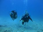 Hawaii Scuba divng 39