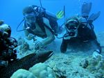 Hawaii Scuba divng 03