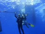 Hawaii Scuba divng 44