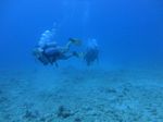 Hawaii Scuba divng 45