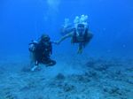 Hawaii Scuba divng 47