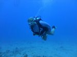 Hawaii Scuba divng 51