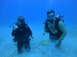 Hawaii Scuba divng 51