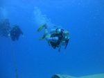 Hawaii Scuba divng 54