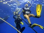 Hawaii Scuba divng 56