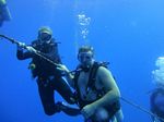 Hawaii Scuba divng 60