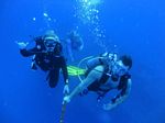 Hawaii Scuba divng 62