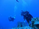 Hawaii Scuba divng 65