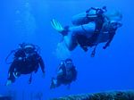 Hawaii Scuba divng 74