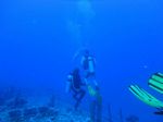 Hawaii Scuba divng 75