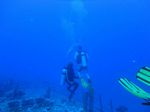 Hawaii Scuba divng 75