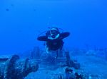 Hawaii Scuba divng 80