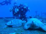 Hawaii Scuba divng 84