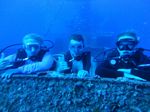 Hawaii Scuba divng 96