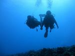 Hawaii Scuba divng 09