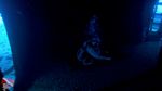 Hawaii scuba 28