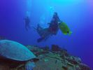 Hawaii Scuba divng 13