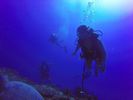 Hawaii Scuba divng 14