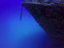 Hawaii Scuba divng 19