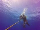 Hawaii Scuba divng 01