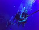 Hawaii Scuba divng 20