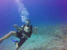 Hawaii Scuba divng 22