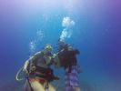 Hawaii Scuba divng 26