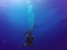 Hawaii Scuba divng 02