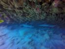 Hawaii Scuba divng 34