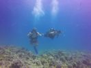 Hawaii Scuba divng 37