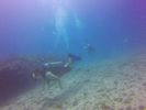 Hawaii Scuba divng 41