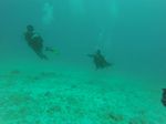 Hawaii Scuba divng 11