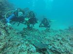 Hawaii Scuba divng 29