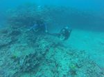 Hawaii Scuba divng 32