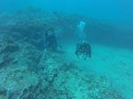 Hawaii Scuba divng 33