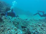 Hawaii Scuba divng 34