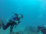 Hawaii Scuba divng 38